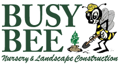 Busy Bee Nursery