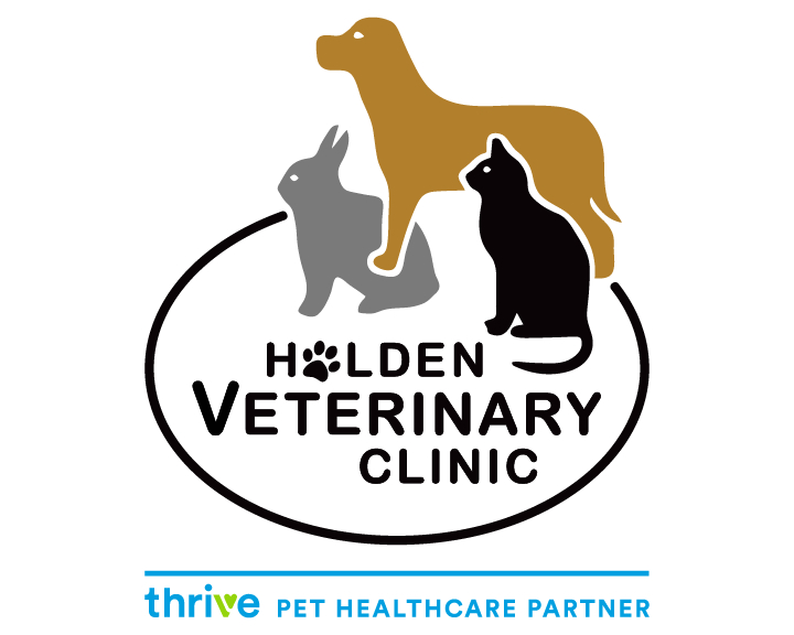 Holden Veterinary Clinic
